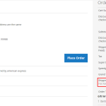 Shipping Rules Checkout page