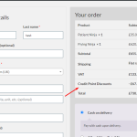 Checkout summary