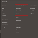 Magento2 Subscription Admin menu