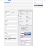 Partial pay checkout new