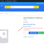 Partial option frontend