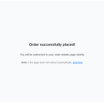 Shopify_amex_paymentsuccess