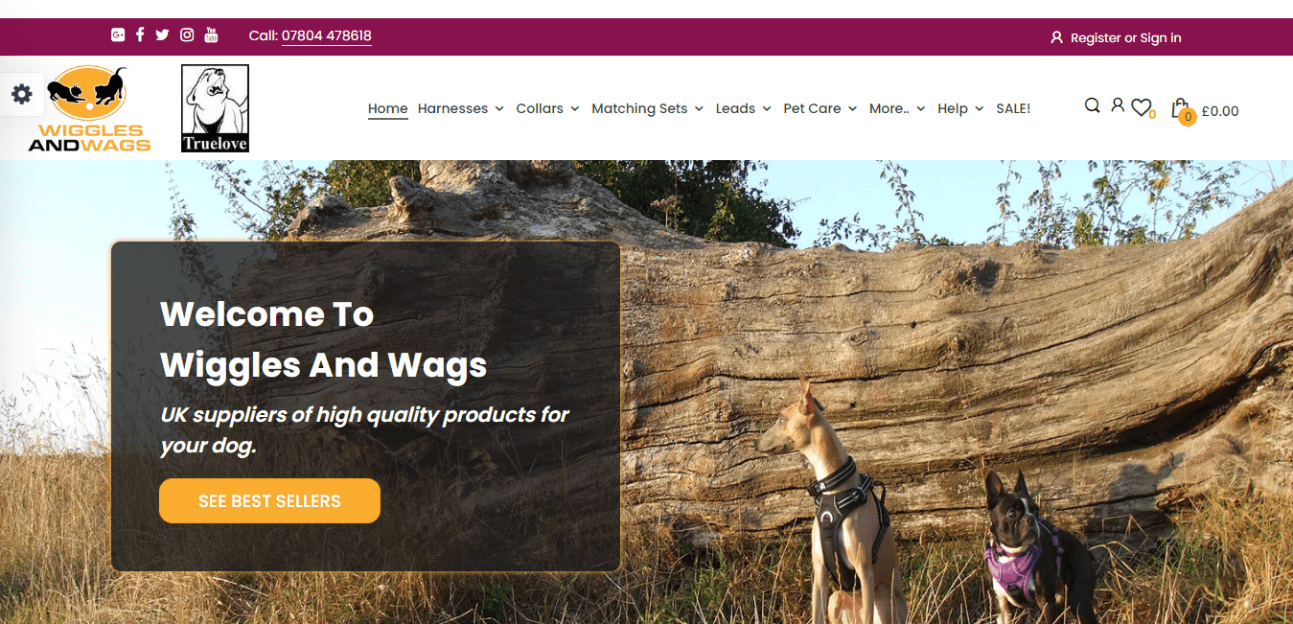 Dog-Harness-1
